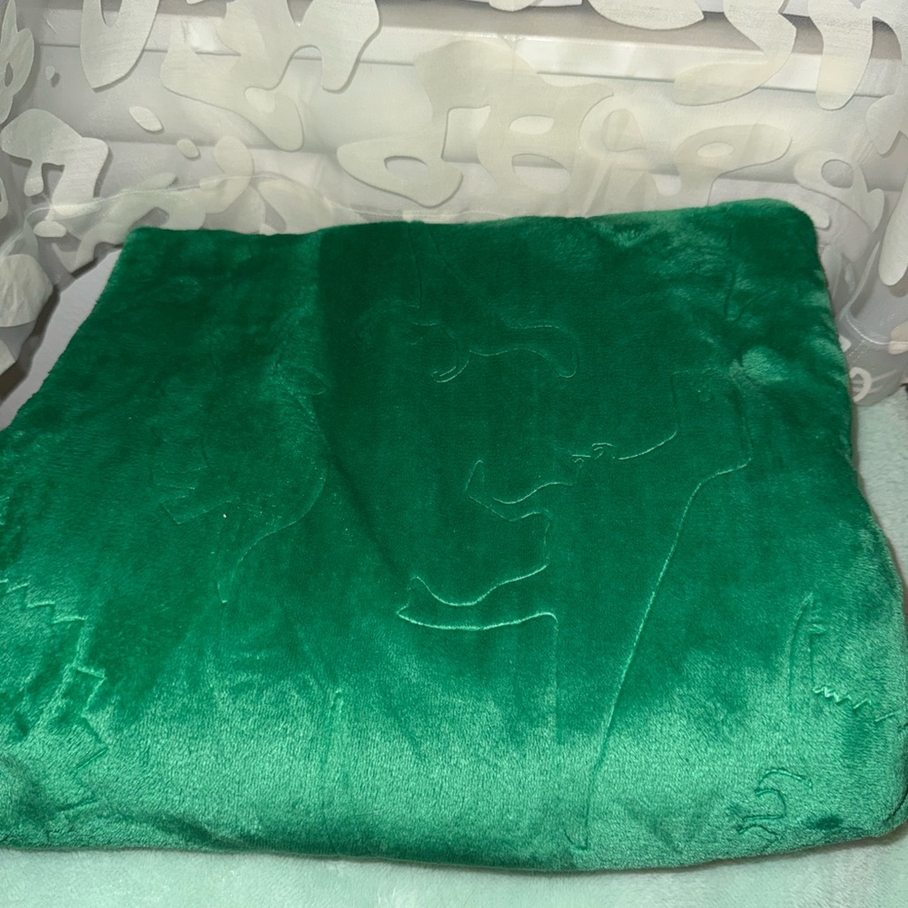 dinosaur throw. Green embossed fleece blanket/throw. 66”x49.5”